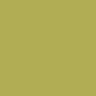 Benjamin Moore Split Pea (2146-30)