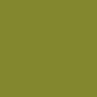 Benjamin Moore Dark Celery (2146-10)