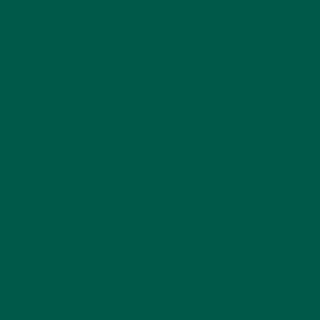 Benjamin Moore Green Bay (2045-10)