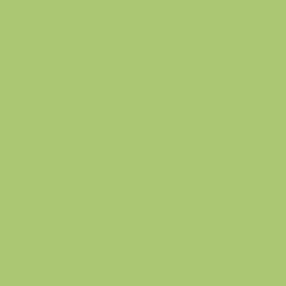 Benjamin Moore Stem Green (2029-40)