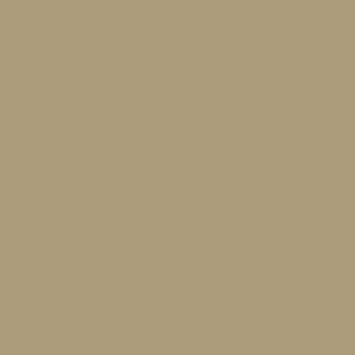 Benjamin Moore Strathmore Manor (244)