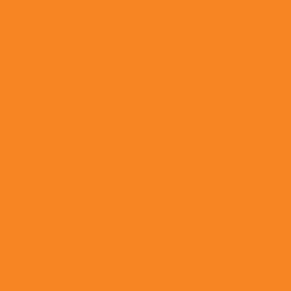 Benjamin Moore Citrus Orange (2016-20)
