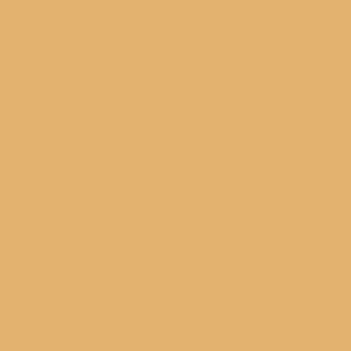 Benjamin Moore Eye of the Tiger (188)