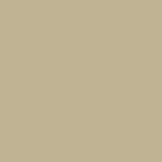 Benjamin Moore Coastal Path (AF-380)
