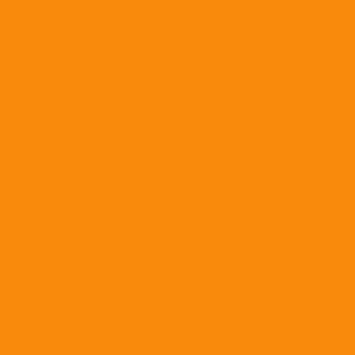 Benjamin Moore Orange Juice (2017-10)