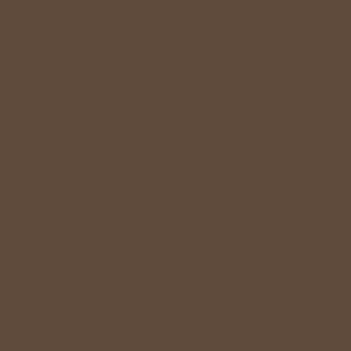 Benjamin Moore Grizzly Bear Brown (2111-20)