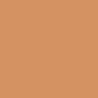 Benjamin Moore Rio Rancho Clay (111)