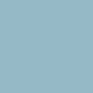 Benjamin Moore Aspen Skies (1656)