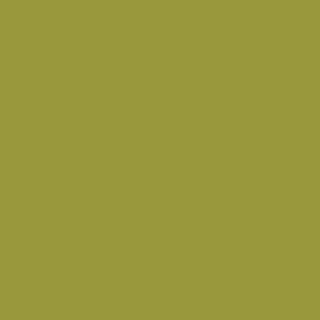 Benjamin Moore Forest Moss (2146-20)
