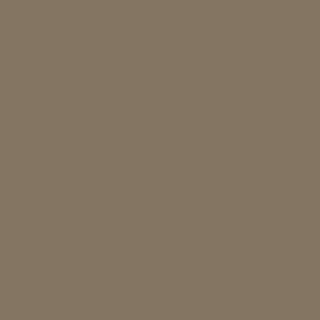 Benjamin Moore Rustic Taupe (999)