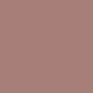 Benjamin Moore Brown Teepee (2102-40)