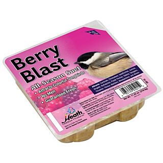 HEATH DD-15 All-Season Suet Cake, Berry, 11.25 oz