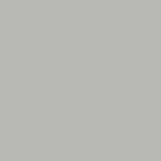 Benjamin Moore Coventry Gray (HC - 169) - Vinyl Safe Formula