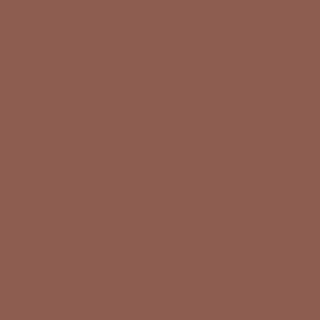 Benjamin Moore Seminole Brown (1183)