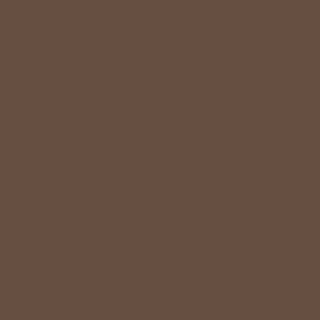 Benjamin Moore Mocha Brown (2107-20)