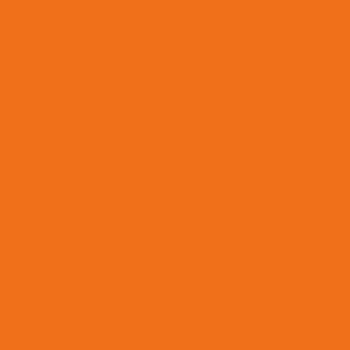 Benjamin Moore Electric Orange (2015-10)
