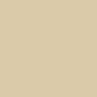 Benjamin Moore Antique Parchment (959)