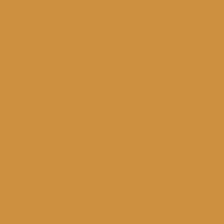 Benjamin Moore Peanut Butter (2159-20)