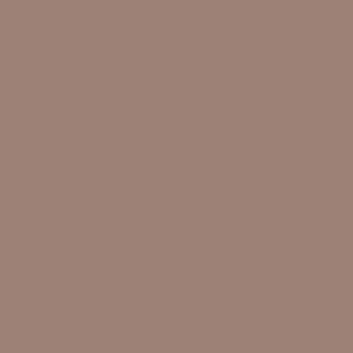 Benjamin Moore Cougar Brown (2106-40)