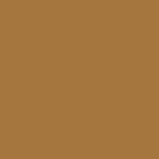 Benjamin Moore Camel (2165-10)