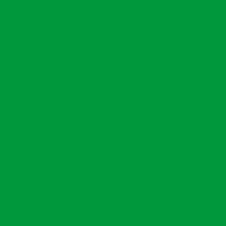 Benjamin Moore Peppermint Leaf (2033-20)