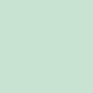 Benjamin Moore Leisure Green (2035-60)