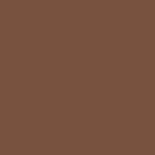 Benjamin Moore Chocolate Truffle (2096-20)