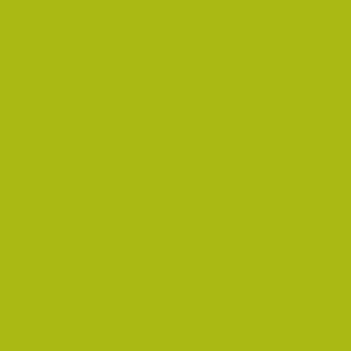 Benjamin Moore Spring Moss (2027-20)