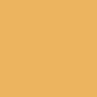 Benjamin Moore Pan for Gold (181)