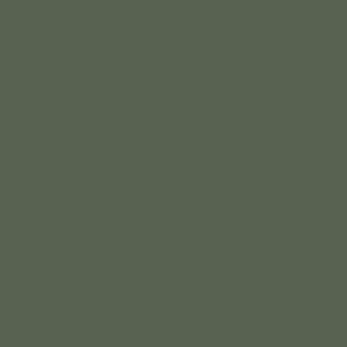 Benjamin Moore Backwoods (CC-630)