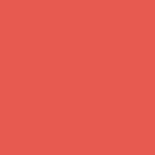 Benjamin Moore Dark Salmon (2009-30)