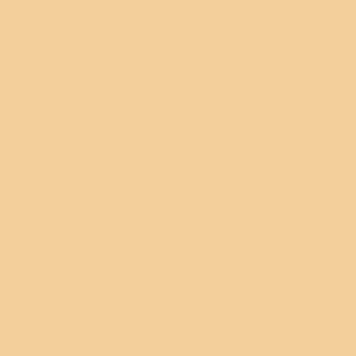Benjamin Moore Glowing Apricot (165)