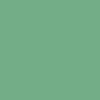 Benjamin Moore Stokes Forest Green (2035-40)