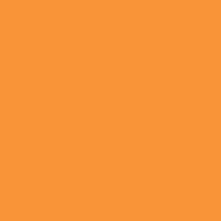 Benjamin Moore Carrot Stick (2016-30)