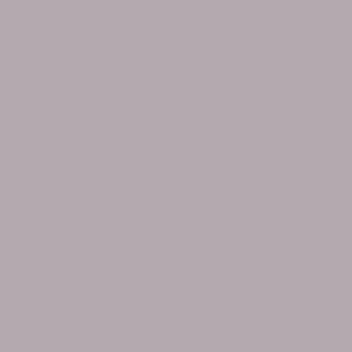 Benjamin Moore Dusk to Dawn (1446)