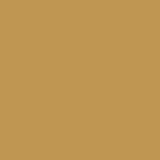 Benjamin Moore French Horn (195)