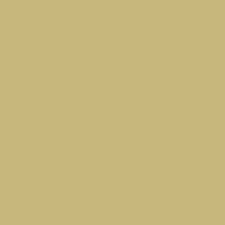 Benjamin Moore Anjou Pear (AF - 425) - Vinyl Safe Formula