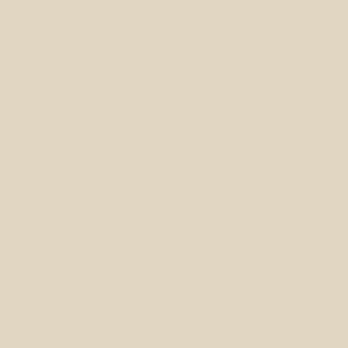 Benjamin Moore Muslin (CC-110)