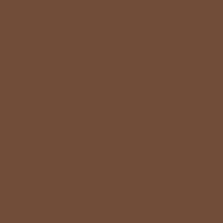 Benjamin Moore Seed Brown (2096-10)