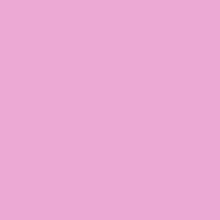 Benjamin Moore Pretty Pink (2077-50)