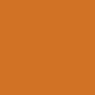 Benjamin Moore 14 Carrots (CSP-1110)