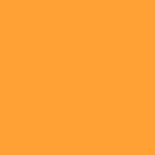 Benjamin Moore Tangelo (2017-30)
