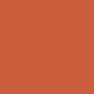 Benjamin Moore Tropical Orange (2170-20)