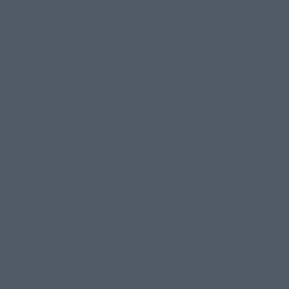 Benjamin Moore Evening Dove (2128-30)