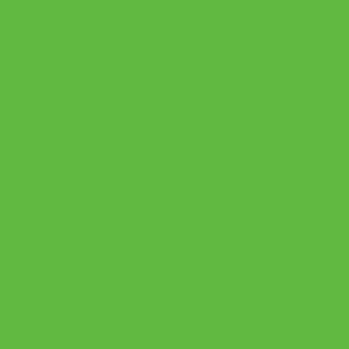 Benjamin Moore Lucky Charm Green (2030-30)