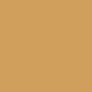 Benjamin Moore Morgan Hill Gold (189)