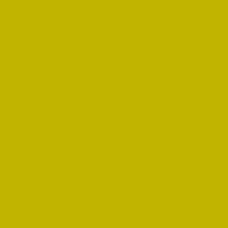 Benjamin Moore Chartreuse (2024-10)