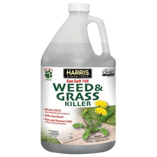 Harris Sea Salt Weed & Grass Killer, Gallon