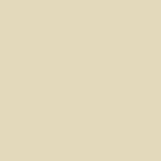 Benjamin Moore Twisted Oak Path (226)