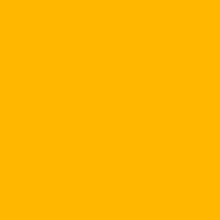 Benjamin Moore Golden Nugget (2019-20)